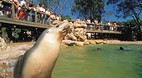 Adelaide Zoo