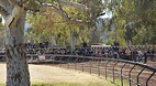 Alice Springs