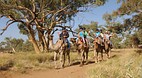 Alice Springs