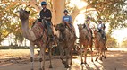 Alice Springs