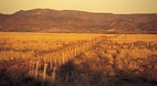 Arkaroola
