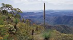 Arkaroola