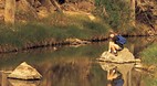 Arkaroola