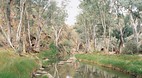 Arkaroola