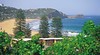 Avoca Beach