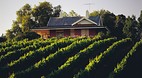 Avoca Victoria