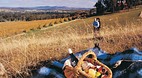 Avoca Victoria
