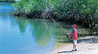 Baffle Creek
