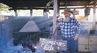 Barcaldine
