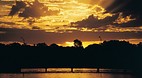 Barmah State Forest