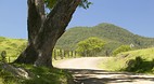 Barrington Tops Nati..