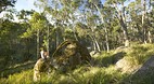 Barrington Tops Nati..