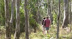 Barrington Tops Nati..