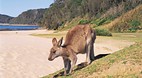 Batemans Bay