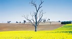Bathurst