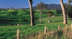 Bega