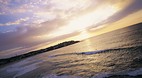 Bondi Beach
