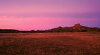 Boulia