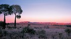 Boulia