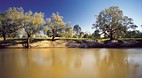 Bourke