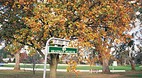 Bowral