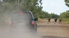 Buchanan Highway