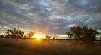 Buchanan Highway