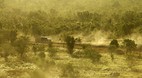 Buchanan Highway