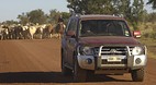 Buchanan Highway