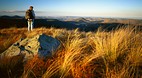 Bunya Mountains