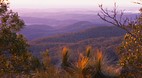 Bunya Mountains