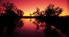 Burketown