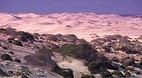 Cactus Beach