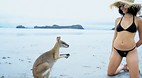 Cape Hillsborough