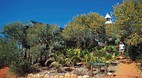 Cape Leveque