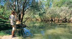 Cape York