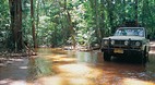 Cape York