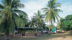 Cape York