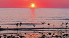 Cape York