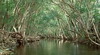 Cardwell