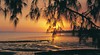 Casuarina Beach