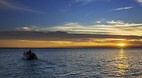 Cobourg Peninsula