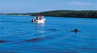 Coffin Bay National ..