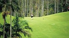 Coffs Harbour