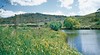 Cooma