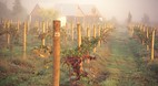 Coonawarra