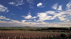 Coonawarra