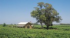 Coonawarra