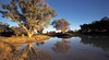 Cooper Creek