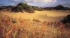Coorong National Par..